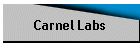 Carnel Labs